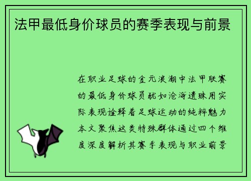 法甲最低身价球员的赛季表现与前景
